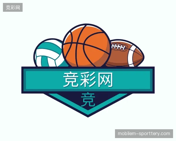 解读竞彩网官方网站